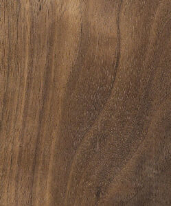 American Black Walnut